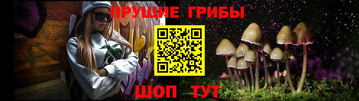 Псилоцибиновые грибы Magic Shrooms  Псилоцибиновые грибы GOLDEN TEACHER  Вход с VPN  Красноярск 